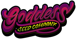 GodDessSeed